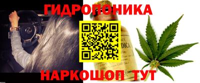 спайс Гусь-Хрустальный